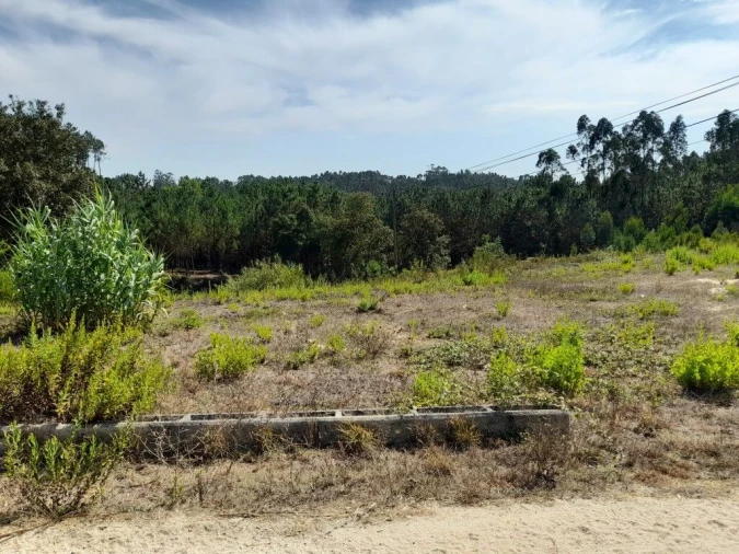 Terreno para Venda em Bidoeira de Cima Foto 4