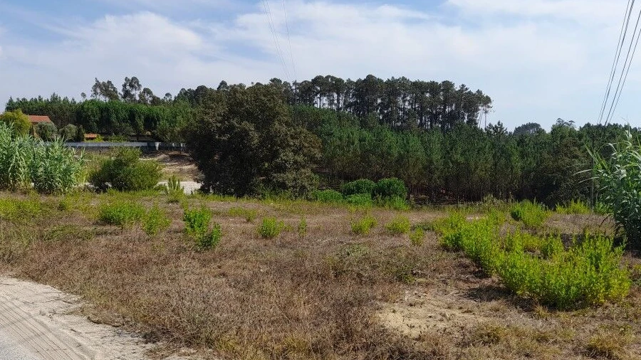 Terreno para Venda em Bidoeira de Cima