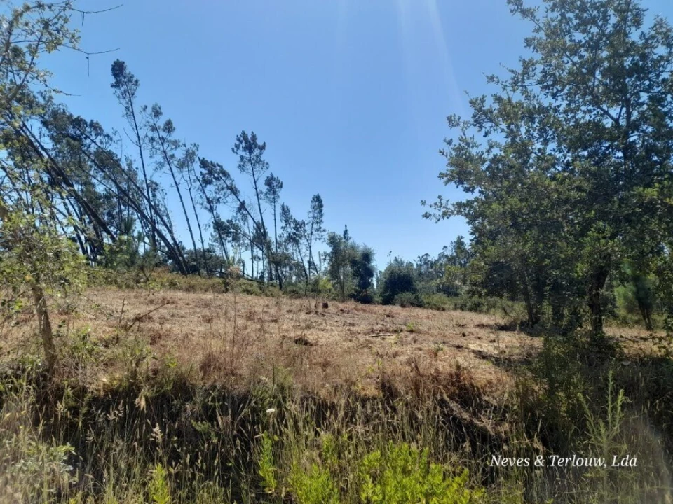 Terreno para Venda em Bajouca Foto 5