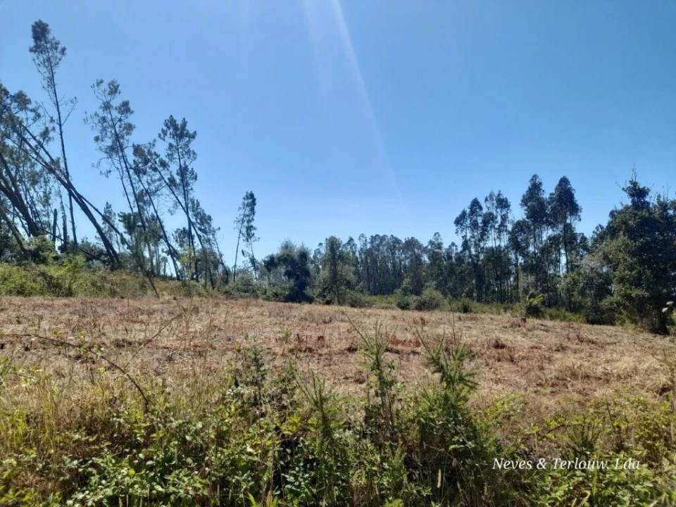 Terreno para Venda em Bajouca Foto 4