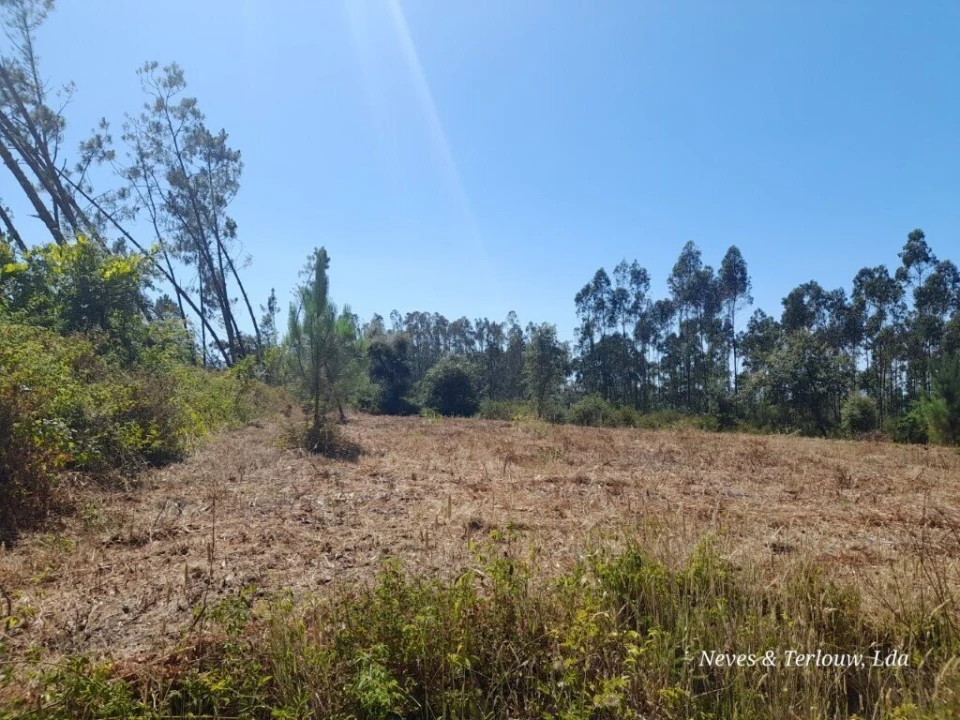 Terreno para Venda em Bajouca Foto 3