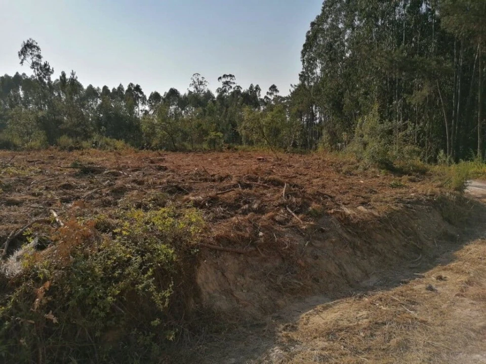 Terreno para Venda em Bajouca Foto 4