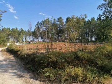 Terreno para Venda em Bajouca