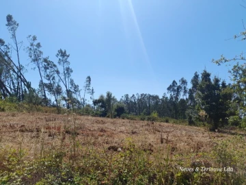 Terreno para Venda em Bajouca