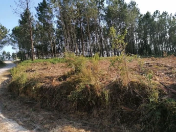 Terreno para Venda em Bajouca