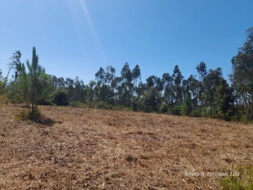 Terreno para Venda em Bajouca
