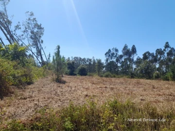 Terreno para Venda em Bajouca