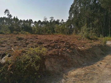 Terreno para Venda em Bajouca