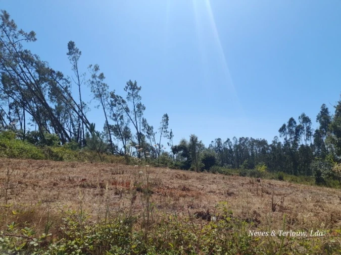 Terreno para Venda em Bajouca Foto 6