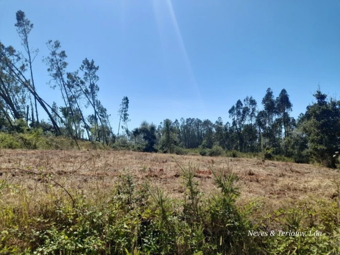 Terreno para Venda em Bajouca Foto 4
