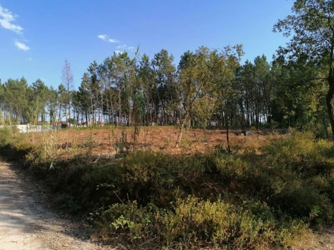 Terreno para Venda em Bajouca Foto 3
