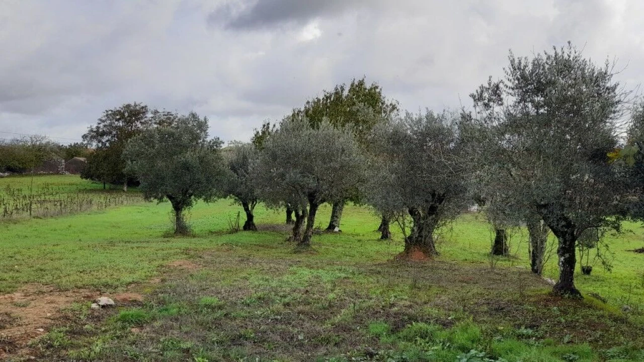 Moradia T3 para Venda em Ansião Foto 19