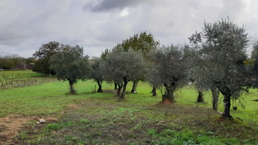 Moradia T3 para Venda em Ansião Foto 19