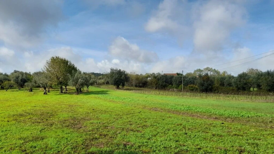 Moradia T3 para Venda em Ansião Foto 21