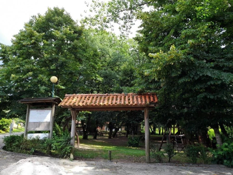 Terreno para Venda em Souto da Carpalhosa e Ortigosa Foto 13