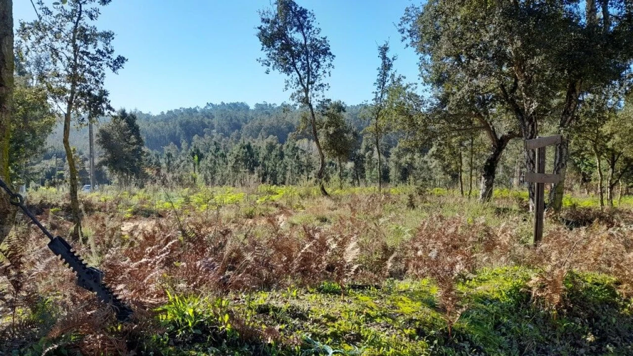 Terreno para Venda em Souto da Carpalhosa e Ortigosa Foto 3