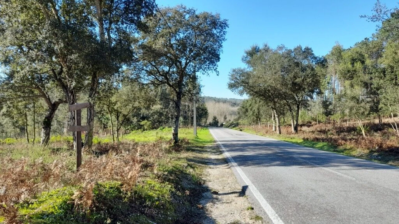 Terreno para Venda em Souto da Carpalhosa e Ortigosa Foto 4