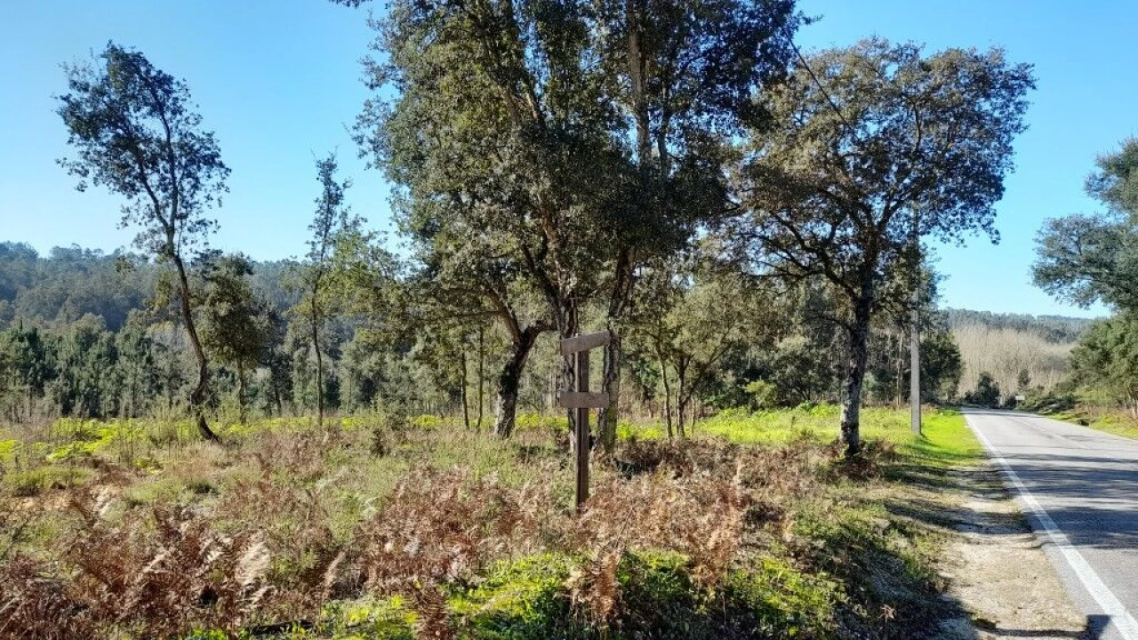 Terreno para Venda em Souto da Carpalhosa e Ortigosa Foto 1