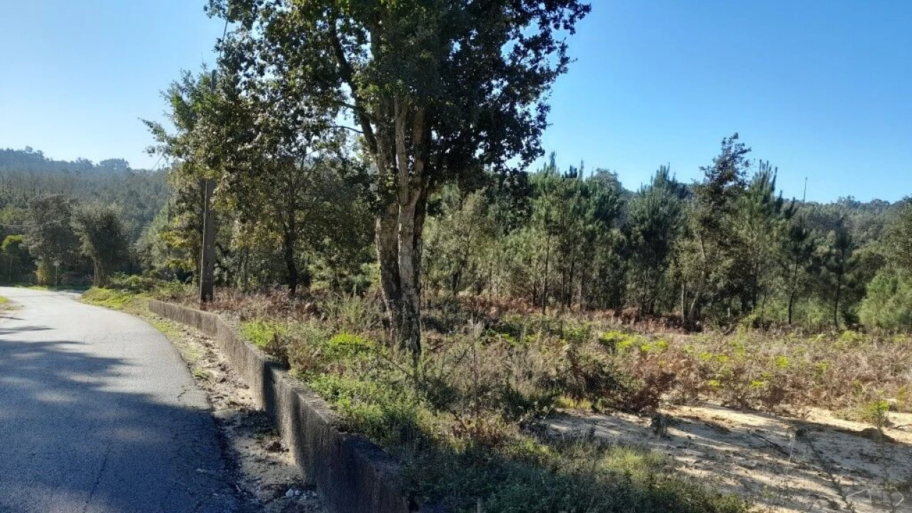 Terreno para Venda em Souto da Carpalhosa e Ortigosa Foto 11