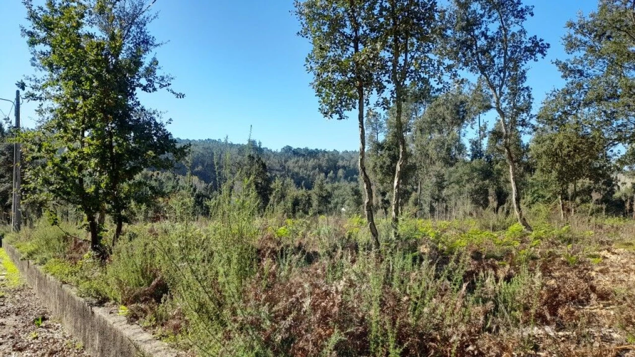 Terreno para Venda em Souto da Carpalhosa e Ortigosa Foto 8