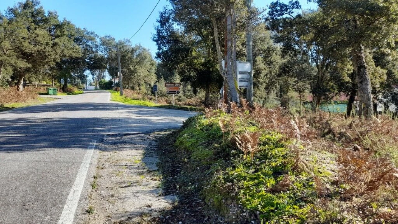 Terreno para Venda em Souto da Carpalhosa e Ortigosa Foto 10