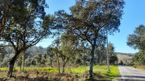 Terreno para Venda em Souto da Carpalhosa e Ortigosa