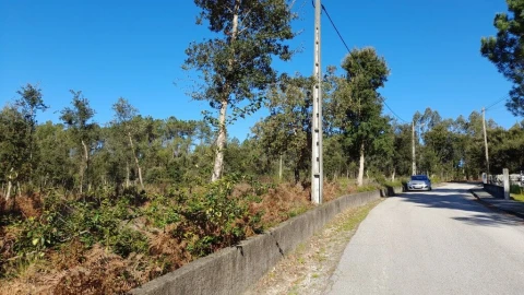 Terreno para Venda em Souto da Carpalhosa e Ortigosa