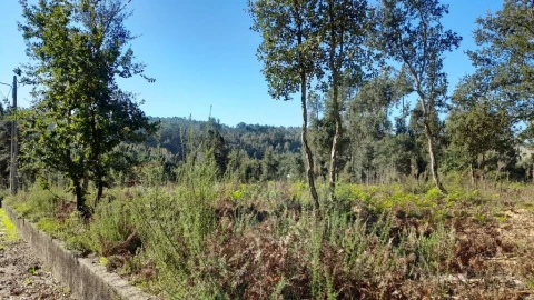 Terreno para Venda em Souto da Carpalhosa e Ortigosa