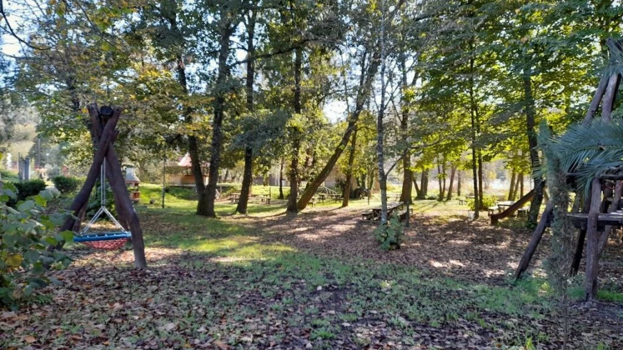 Terreno para Venda em Souto da Carpalhosa e Ortigosa Foto 15