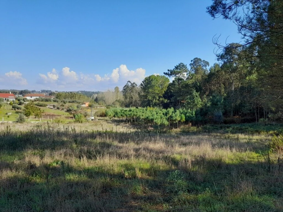 Terreno para Venda em Bidoeira de Cima Foto 1