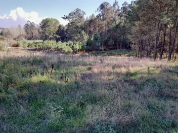 Terreno para Venda em Bidoeira de Cima