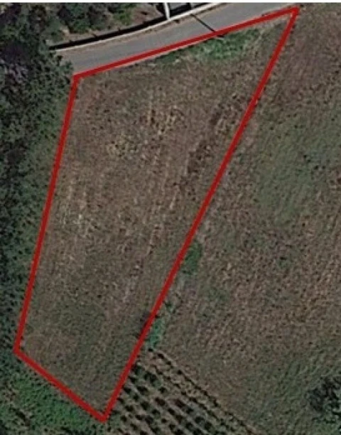 Terreno para Venda em Bidoeira de Cima