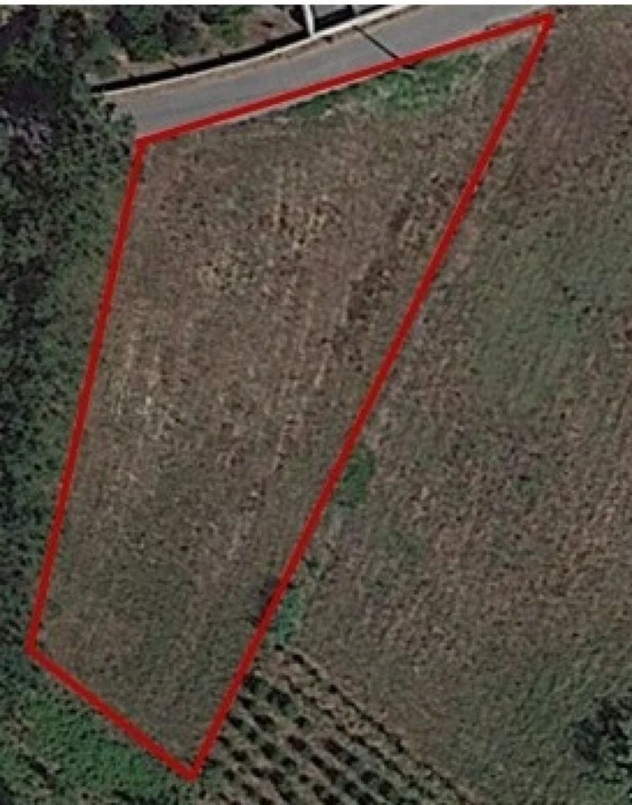 Terreno para Venda em Bidoeira de Cima Foto 6