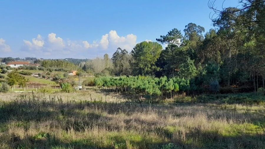 Terreno para Venda em Bidoeira de Cima