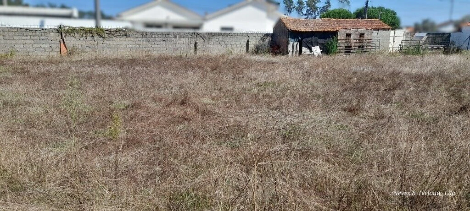 Terreno para Venda em Monte Redondo e Carreira Foto 7