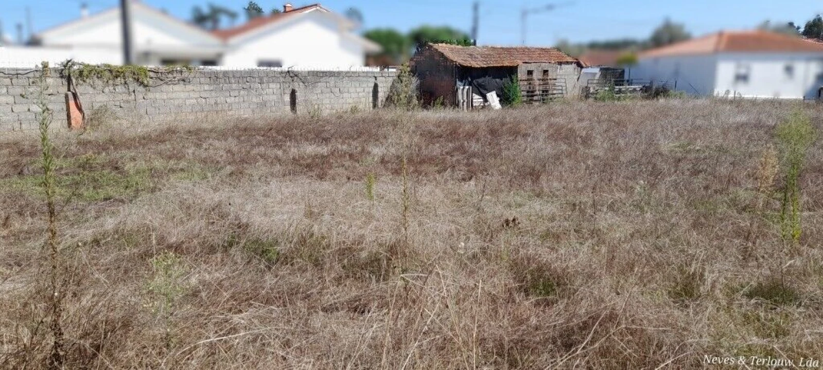 Terreno para Venda em Monte Redondo e Carreira Foto 5