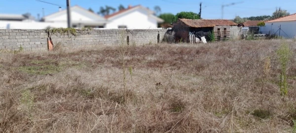 Terreno para Venda em Monte Redondo e Carreira