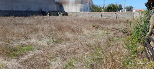 Terreno para Venda em Monte Redondo e Carreira