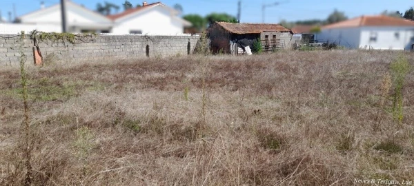 Terreno para Venda em Monte Redondo e Carreira