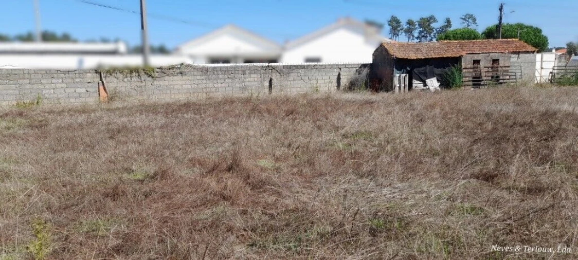 Terreno para Venda em Monte Redondo e Carreira Foto 6