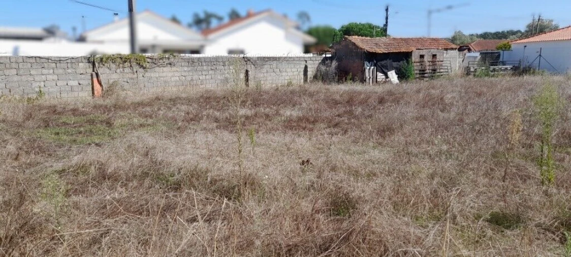 Terreno para Venda em Monte Redondo e Carreira Foto 4
