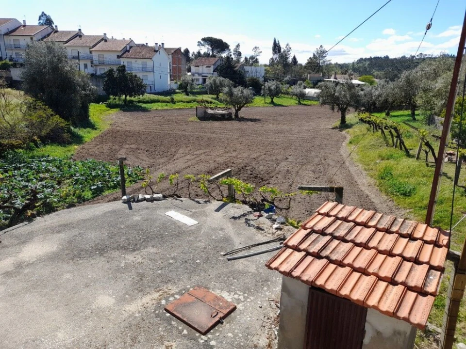 Terreno para Venda em Ansião Foto 3