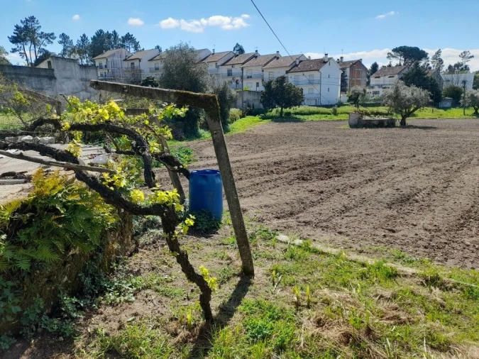 Terreno para Venda em Ansião Foto 5
