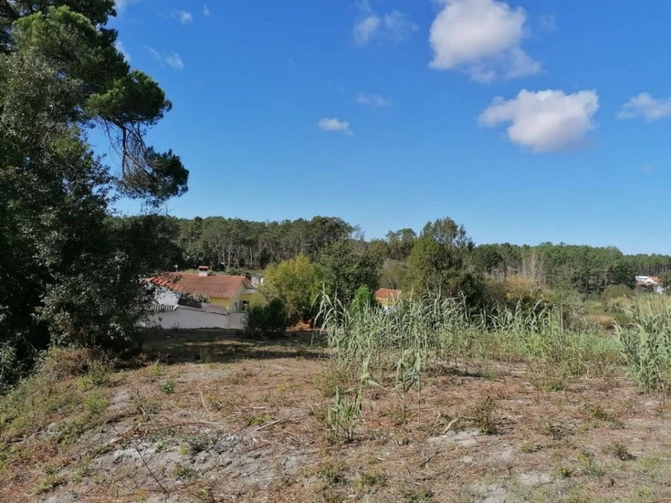 Terreno para Venda em Monte Redondo e Carreira Foto 6