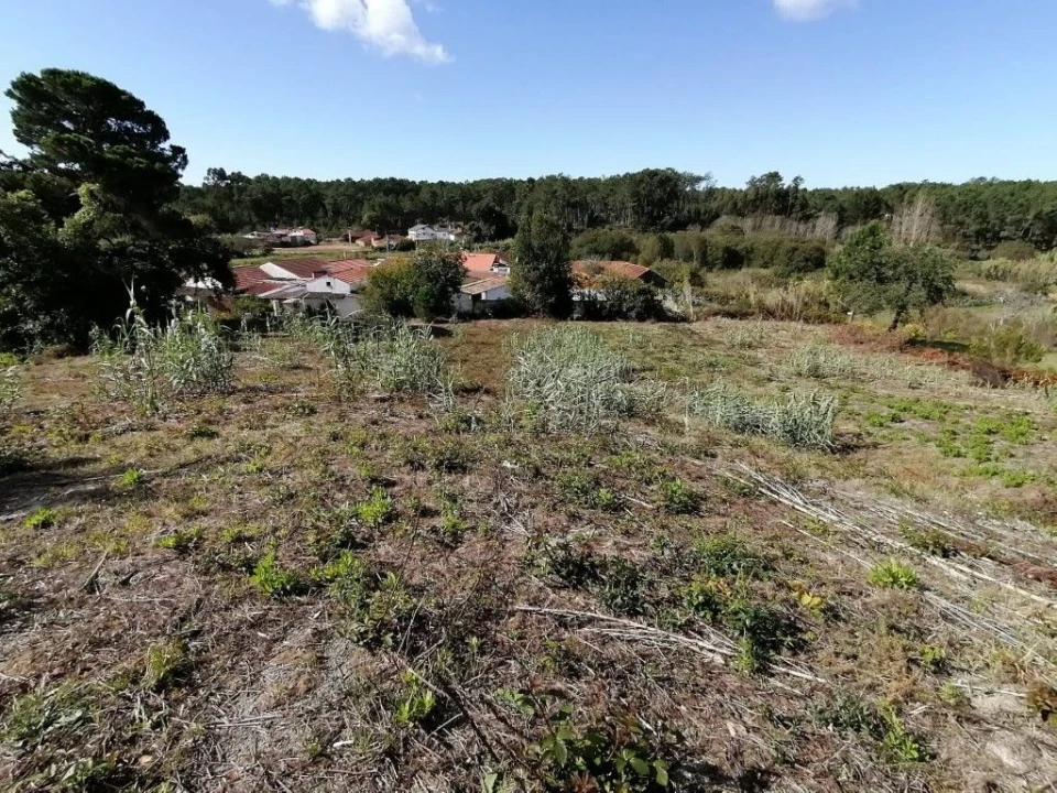 Terreno para Venda em Monte Redondo e Carreira Foto 2
