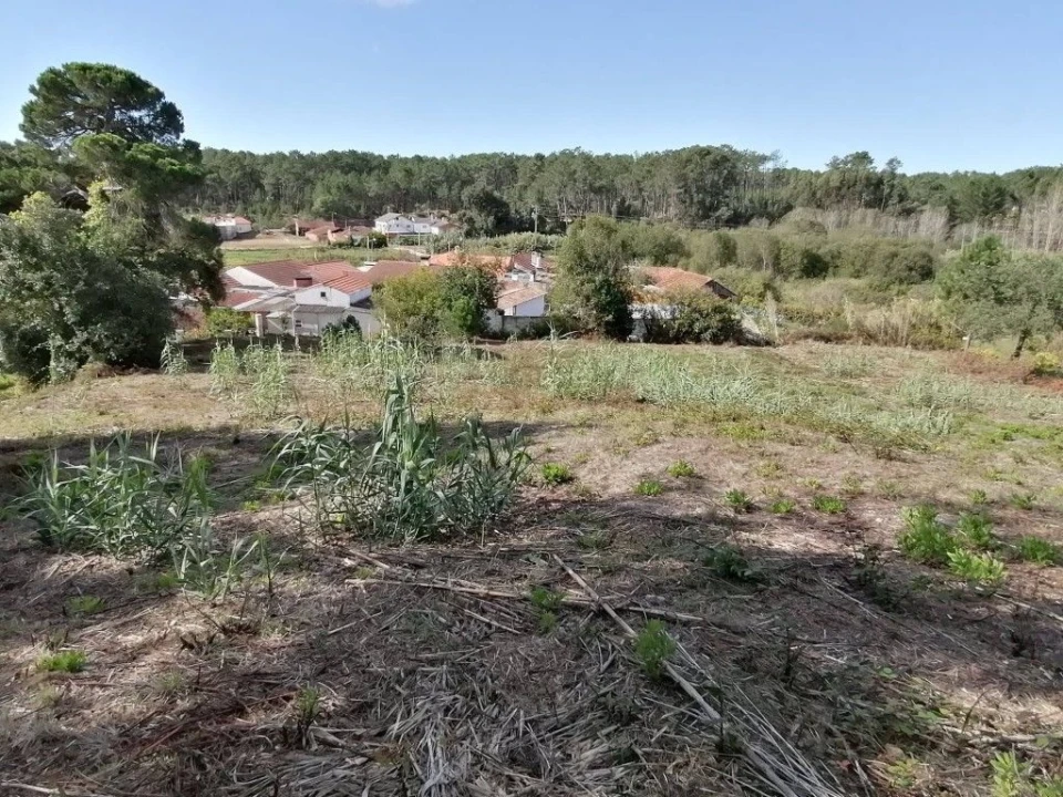 Terreno para Venda em Monte Redondo e Carreira Foto 5