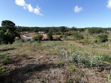 Terreno para Venda em Monte Redondo e Carreira