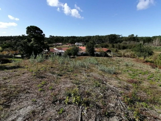 Terreno para Venda em Monte Redondo e Carreira Foto 3