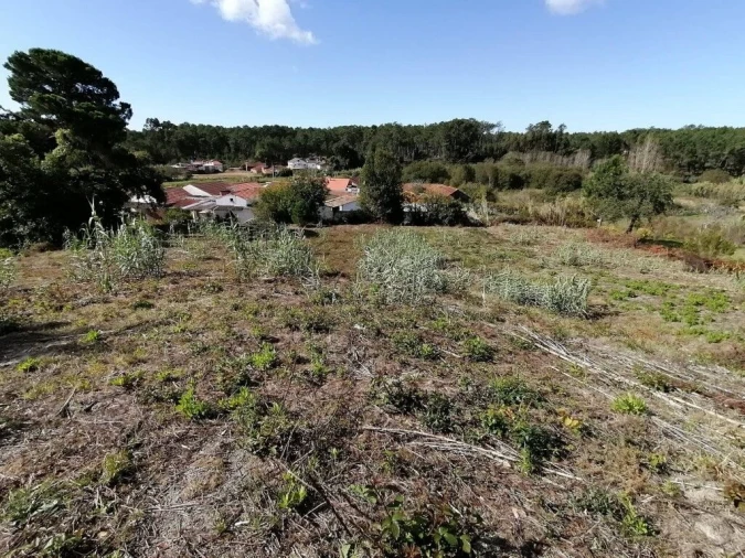 Terreno para Venda em Monte Redondo e Carreira