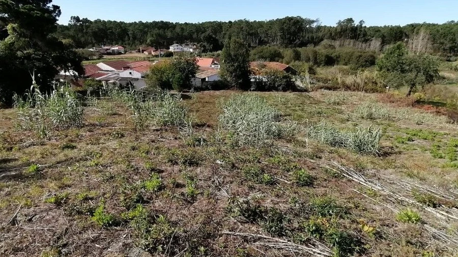 Terreno para Venda em Monte Redondo e Carreira
